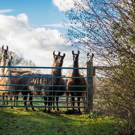 The Merry Harriers Bed and Breakfast Godalming Εξωτερικό φωτογραφία